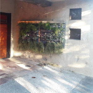 Jardín C